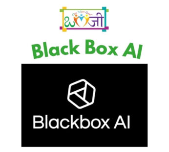 Black Box AI