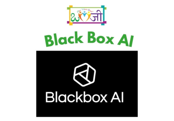 Black Box AI