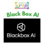Black Box AI