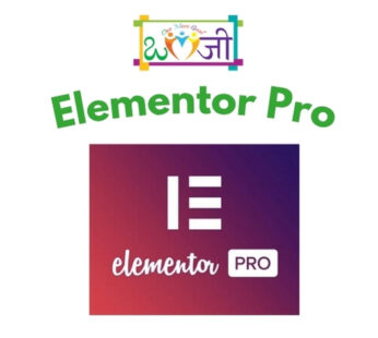 Elementor Pro