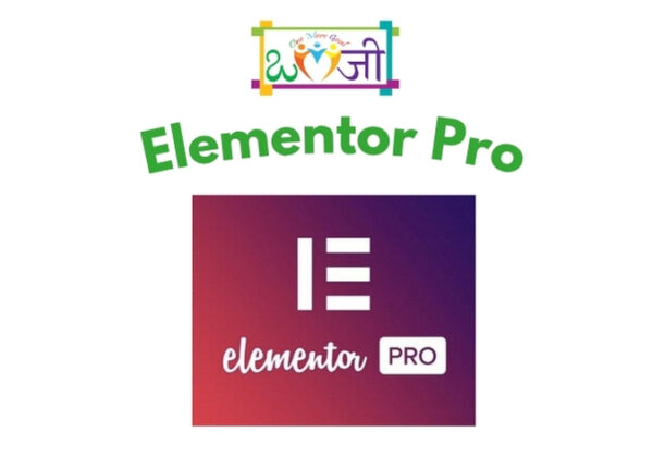 Elementor Pro