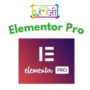 Elementor Pro